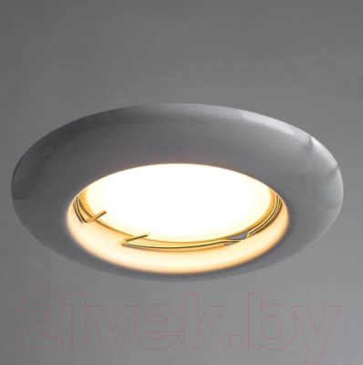 Точечный светильник Arte Lamp Praktisch A1203PL-1WH