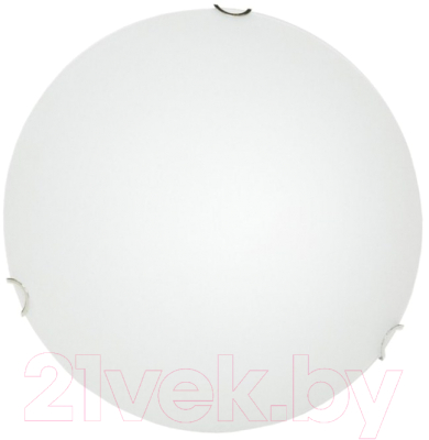 Потолочный светильник Arte Lamp Plain A3720PL-2CC - фото