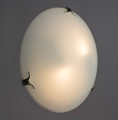 Потолочный светильник Arte Lamp Plain A3720PL-2CC
