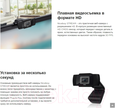 Веб-камера Niceboy Stream