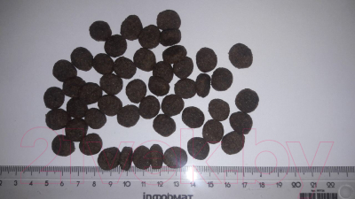 Сухой корм для собак MamyNat Dog Energy (20кг)