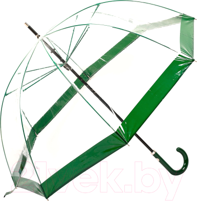 Зонт-трость Clima M&P C4700-LM Transparent Green - фото