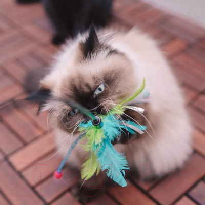 Игрушка для кошек Duvo Plus Удочка с перьями / 1717032/DV