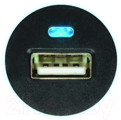 Адаптер питания автомобильный Robiton USB1000/Auto S