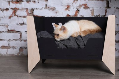 Лежанка для животных Чешир Стиляга / 375-22