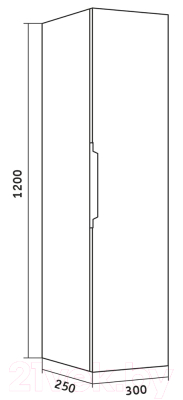 Шкаф-пенал для ванной Grossman Форта 30 / 303005