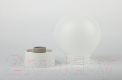 Светильник ЖКХ ЭРА Гранат / Б0048027