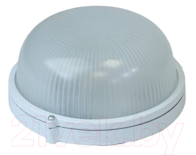 Светильник ЖКХ ЭРА Акватермо / Б0048420 - фото
