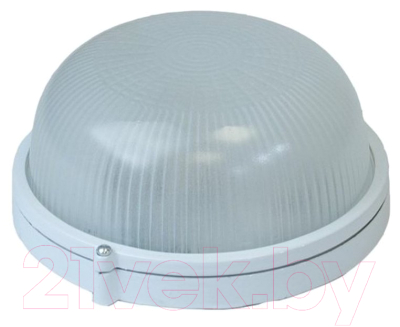 Светильник ЖКХ ЭРА Акватермо / Б0048419 - фото