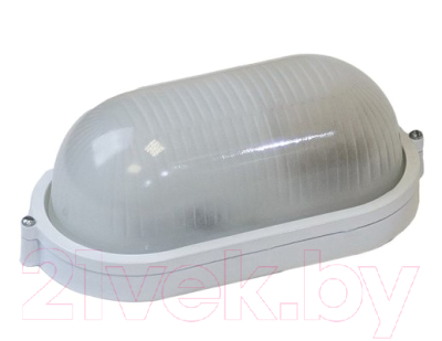 Светильник ЖКХ ЭРА Акватермо / Б0048423 - фото