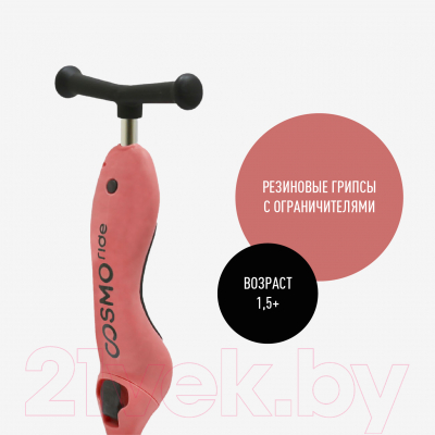 Самокат детский CosmoRide Moly C-13H