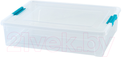 Контейнер для хранения Handy Home Хэнди Бокс 390x290x75 / MP-09 - фото