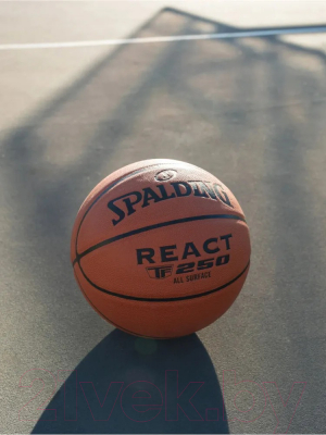 Баскетбольный мяч Spalding React TF-250 / 76-803Z