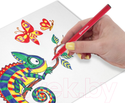 Фломастеры Brauberg Академия / 151411