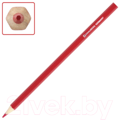 Набор цветных карандашей Brauberg My Lovely Dogs / 180518