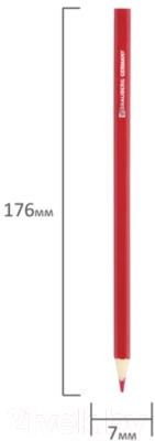 Набор цветных карандашей Brauberg My Lovely Dogs / 180518