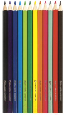 Набор цветных карандашей Brauberg My Lovely Dogs / 180531