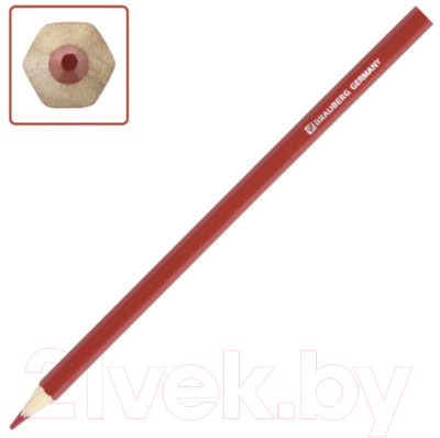 Набор цветных карандашей Brauberg My Lovely Dogs / 180531