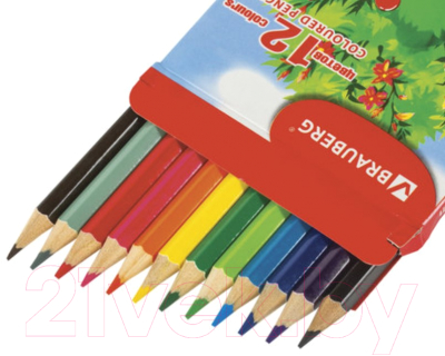 Набор цветных карандашей Brauberg My Lovely Dogs / 180531