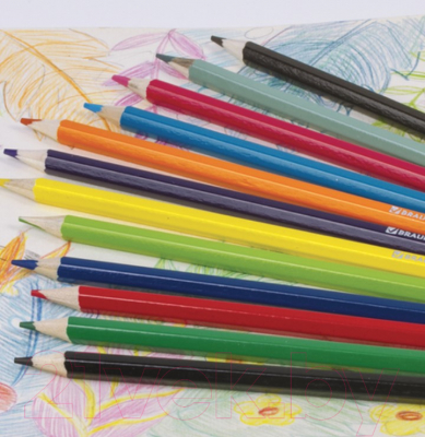 Набор цветных карандашей Brauberg Star Patrol / 180532