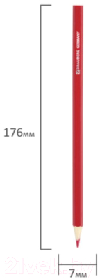 Набор цветных карандашей Brauberg Football Match / 180534