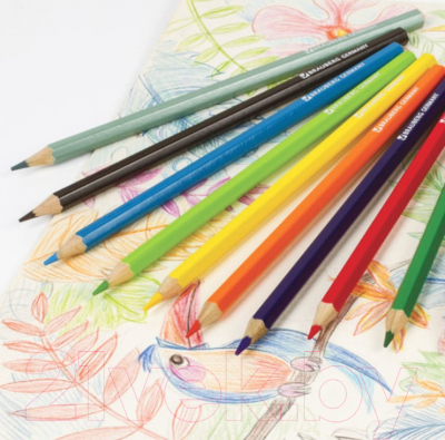 Набор цветных карандашей Brauberg Football Match / 180534