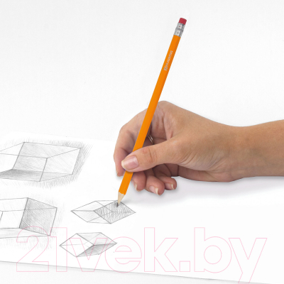 Набор простых карандашей Brauberg НВ / 180635