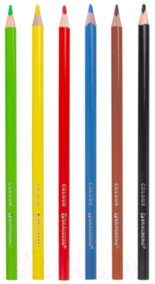 Набор цветных карандашей Brauberg Premium / 181650