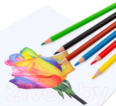 Набор цветных карандашей Brauberg Premium / 181650