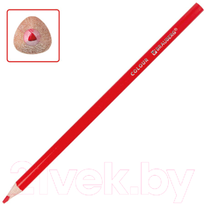 Набор цветных карандашей Brauberg Premium / 181651