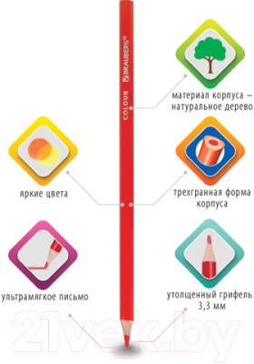 Набор цветных карандашей Brauberg Premium / 181651