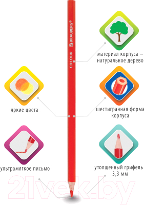 Набор цветных карандашей Brauberg Premium / 181656