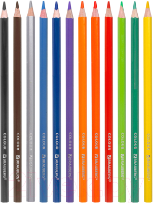 Набор цветных карандашей Brauberg Premium / 181656