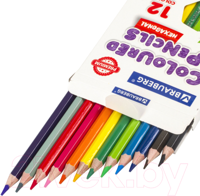 Набор цветных карандашей Brauberg Premium / 181656