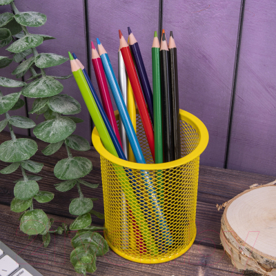 Набор цветных карандашей Brauberg Premium / 181661