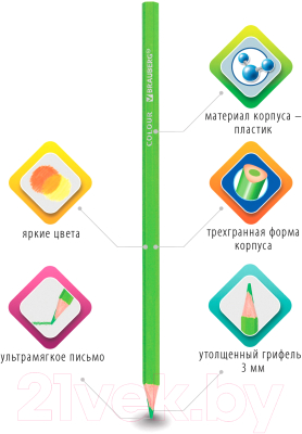 Набор цветных карандашей Brauberg Premium / 181662