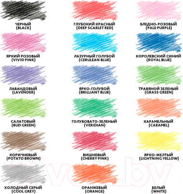 Набор цветных карандашей Brauberg Premium / 181662