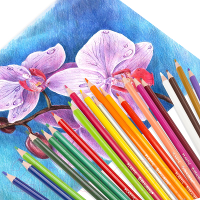 Набор цветных карандашей Brauberg Premium / 181662