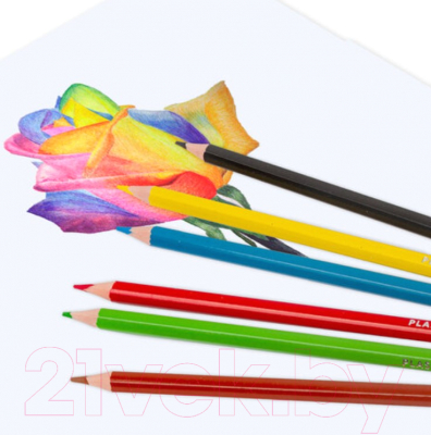 Набор цветных карандашей Brauberg Premium / 181665