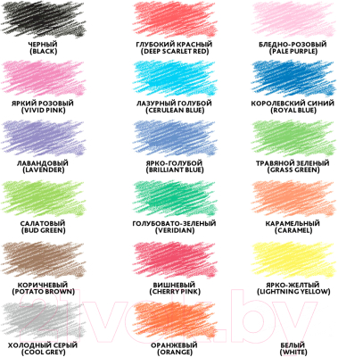 Набор цветных карандашей Brauberg Premium / 181667