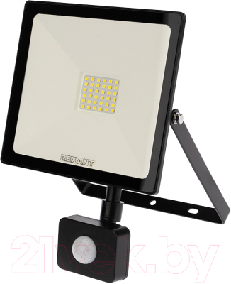 Прожектор Rexant 605-008 - фото