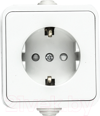 Розетка INhome Aqua 3113 / 4690612003450 - фото