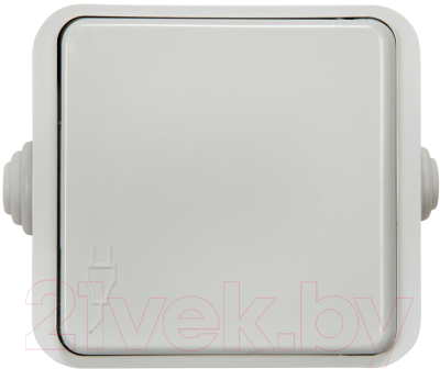 Розетка INhome Aqua 3110 / 4690612000541 - фото