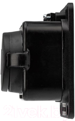 Розетка Rexant 111-111