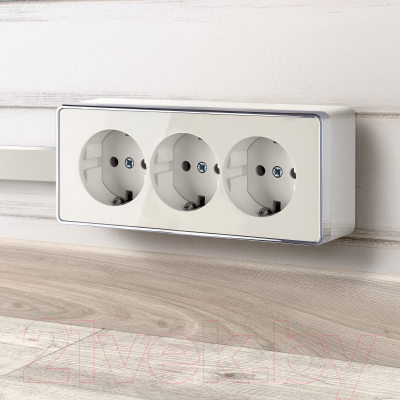 Розетка Werkel Gallant W5073103 / a051554