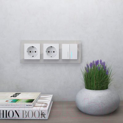 Рамка для выключателей и розеток Werkel W0031117 / a050896