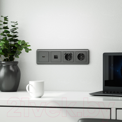 Розетка Werkel W1181004 / a050748