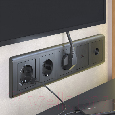 Розетка Werkel W1183004 / a050758