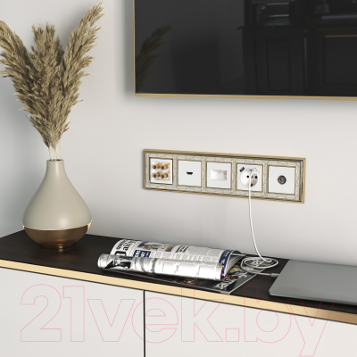 Розетка Werkel W1186001 / a051121