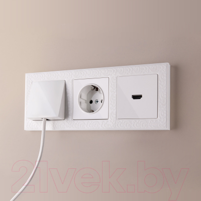 Розетка Werkel W1186001 / a051121